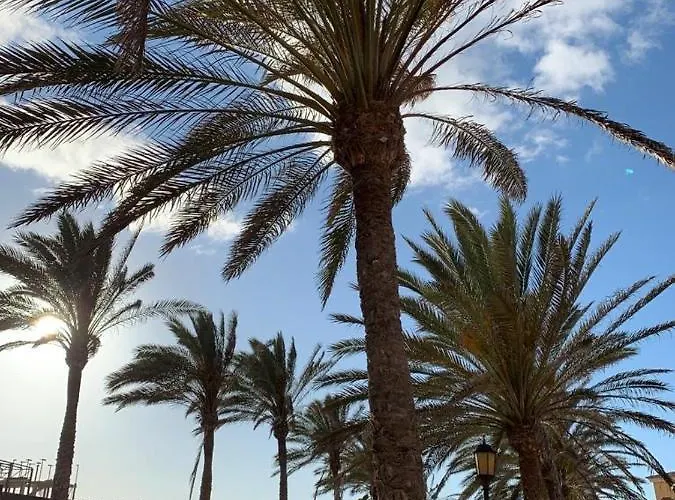 La Tunera Fuerteventura شقة *